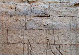 fayoum