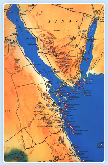 red sea diving